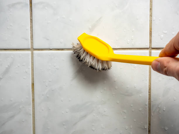 Office Mold Removal Services in Barre, VT