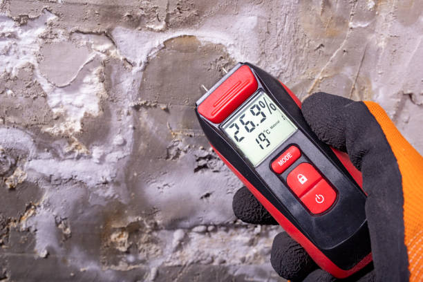 Best Toxic Mold Removal  in Barre, VT