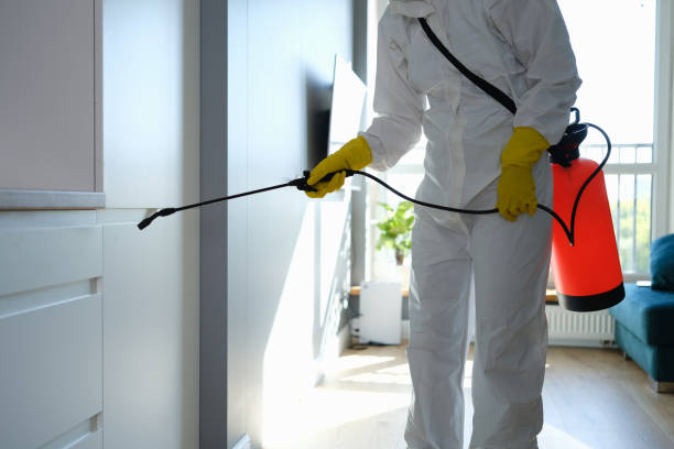 Best Mold Testing  in Barre, VT