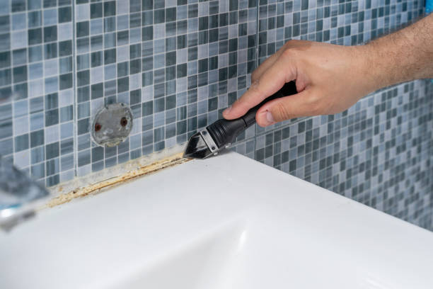 Best Best Mold Removal Companies  in Barre, VT
