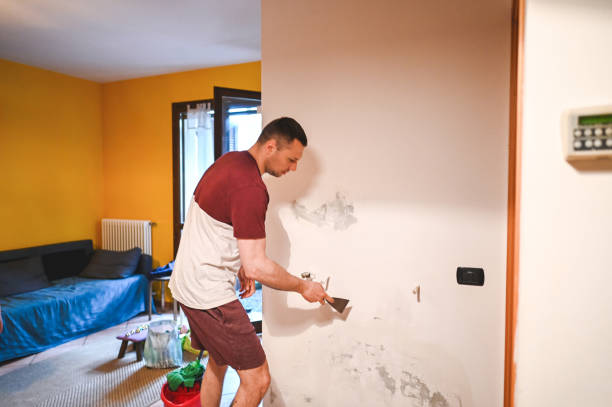 Best Mold Cleaning Services  in Barre, VT